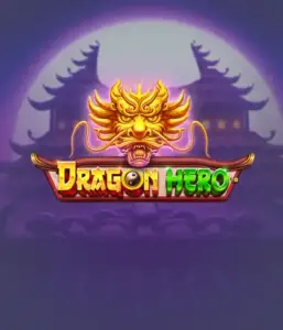 Присоединитесь к мифическое приключение с Dragon Hero от Pragmatic Play, освещающей захватывающую визуализацию древних драконов и эпических столкновений. Исследуйте землю, где фантазия встречается с триллом, с представляющими зачарованных оружий, мистических существ и сокровищ для захватывающего слот-опыта.