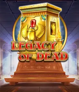 Погрузитесь в древние глубины слота Legacy of Dead от Play'n GO, показывающего потрясающие визуальные эффекты древнеегипетских божеств, гробниц и иероглифов. Откройте сокровища фараонов с увлекательными функциями, включая расширяющиеся иконки, бесплатные вращения и возможность игры на риск. Идеально для тех, кто в поисках приключений, интересующихся египетской мифологией в поисках волнения сквозь пески времени.